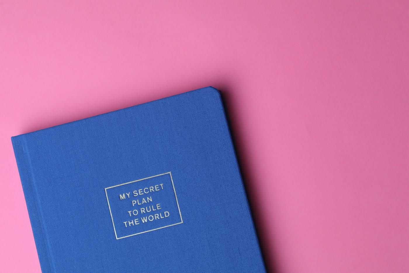 Un quaderno blu chiuso su fondo rosa, con la scritta «My secret plan to rule the world» sulla copertina